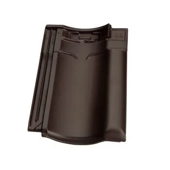 变色黑棕