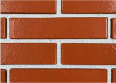 BURNT ORANGE